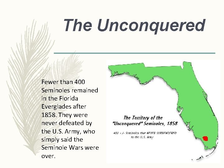 The Unconquered Fewer than 400 Seminoles remained in the Florida Everglades after 1858. They The Unconquered Fewer than 400 Seminoles remained in the Florida Everglades after 1858. They