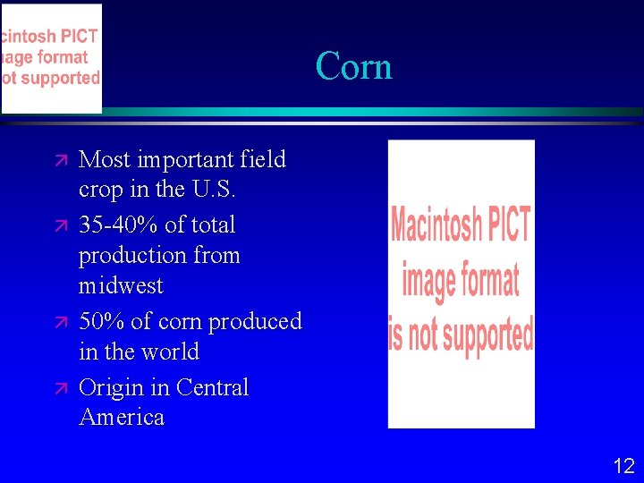 Corn Most important field crop in the U. S. 35 -40% of total production