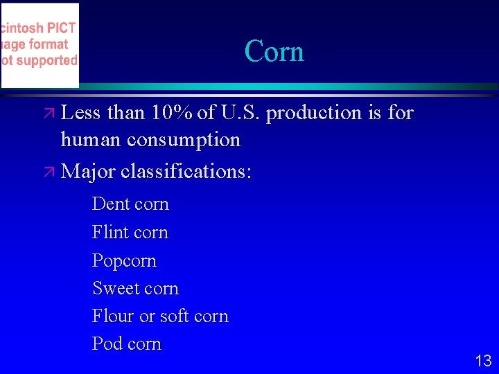 Corn Less than 10% of U. S. production is for human consumption Major classifications: