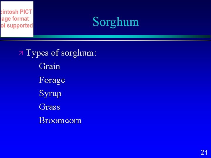 Sorghum Types of sorghum: Grain Forage Syrup Grass Broomcorn 21 
