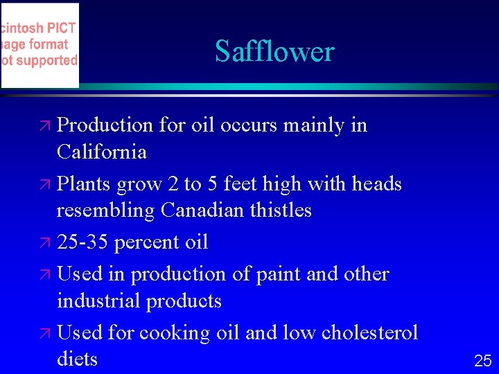 Safflower Production for oil occurs mainly in California Plants grow 2 to 5 feet