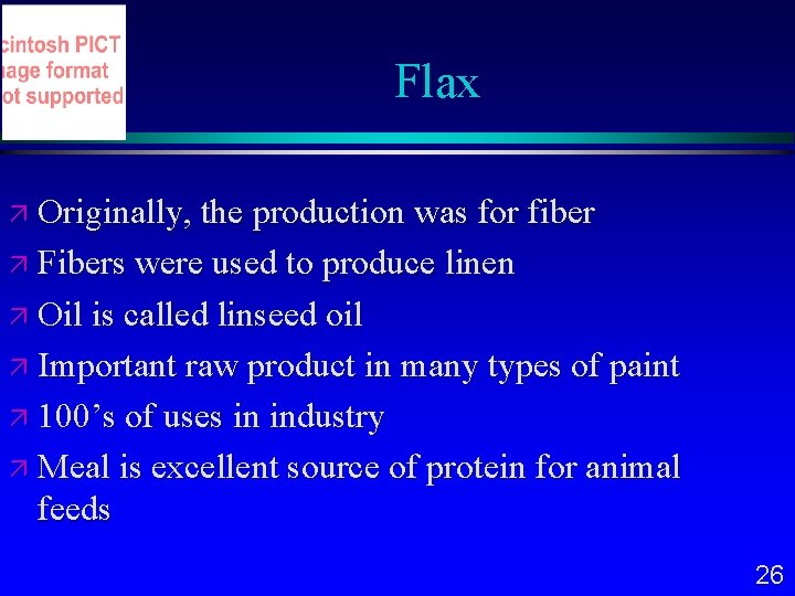 Flax Originally, the production was for fiber Fibers were used to produce linen Oil