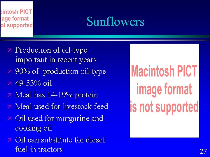 Sunflowers Production of oil-type important in recent years 90% of production oil-type 49 -53%