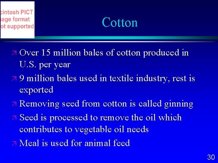 Cotton Over 15 million bales of cotton produced in U. S. per year 9