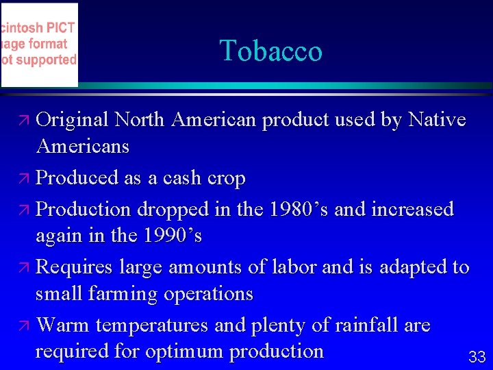 Tobacco Original North American product used by Native Americans Produced as a cash crop