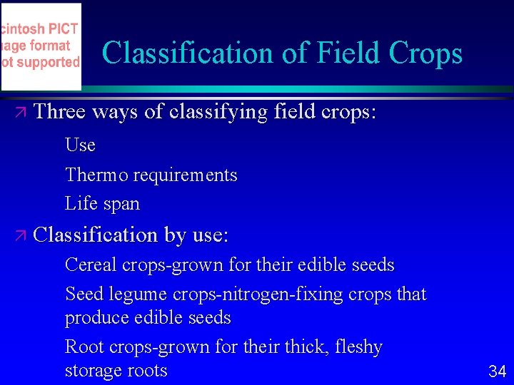 Classification of Field Crops Three ways of classifying field crops: Use Thermo requirements Life