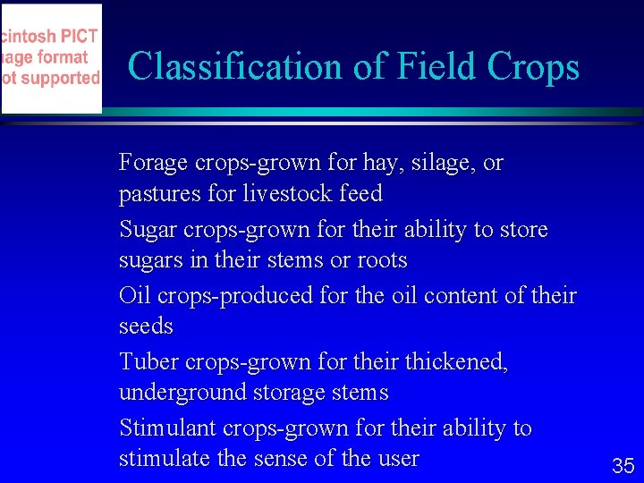 Classification of Field Crops Forage crops-grown for hay, silage, or pastures for livestock feed