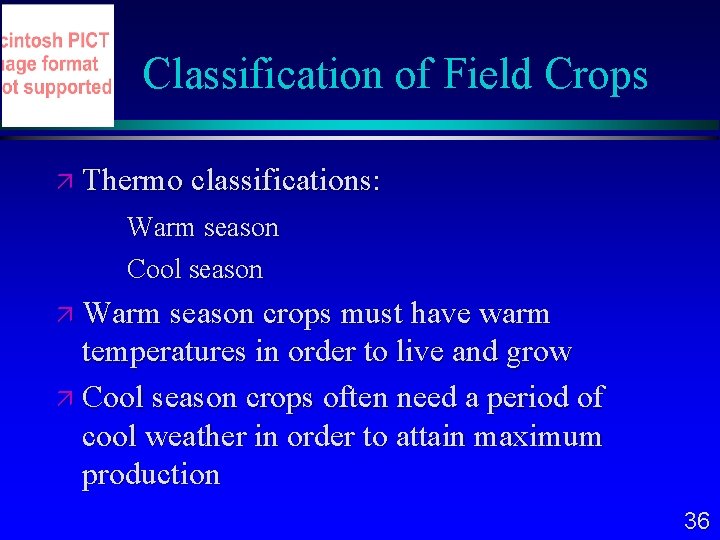 Classification of Field Crops Thermo classifications: Warm season Cool season Warm season crops must