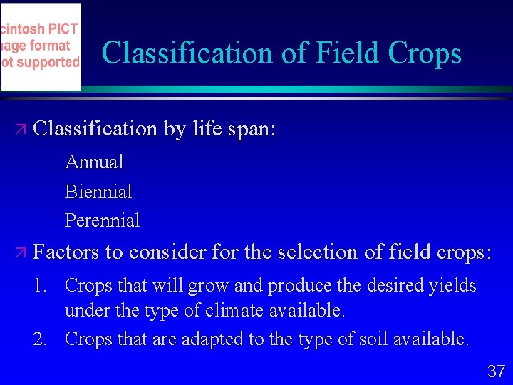 Classification of Field Crops Classification by life span: Annual Biennial Perennial Factors to consider