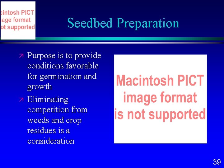 Seedbed Preparation Purpose is to provide conditions favorable for germination and growth Eliminating competition
