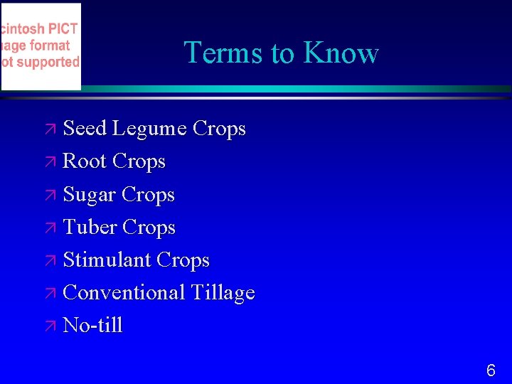 Terms to Know Seed Legume Crops Root Crops Sugar Crops Tuber Crops Stimulant Crops
