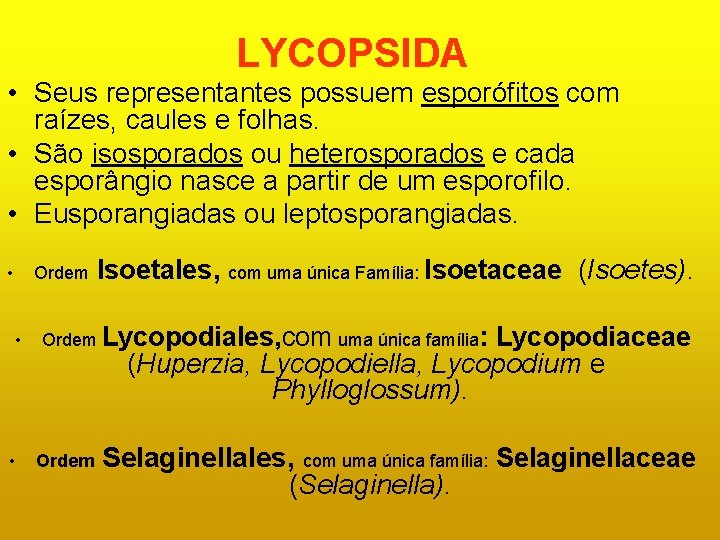 LYCOPSIDA • Seus representantes possuem esporófitos com raízes, caules e folhas. • São isosporados LYCOPSIDA • Seus representantes possuem esporófitos com raízes, caules e folhas. • São isosporados