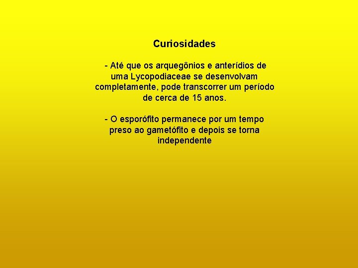 Curiosidades - Até que os arquegônios e anterídios de uma Lycopodiaceae se desenvolvam completamente, Curiosidades - Até que os arquegônios e anterídios de uma Lycopodiaceae se desenvolvam completamente,