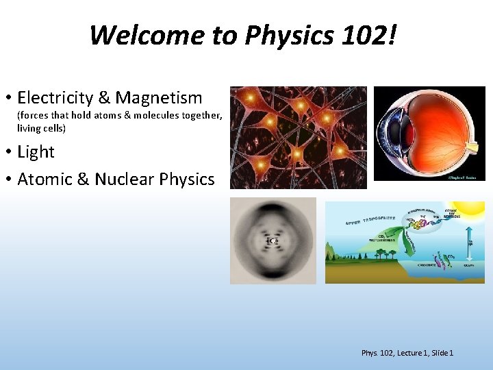 Welcome to Physics 102! • Electricity & Magnetism (forces that hold atoms & molecules