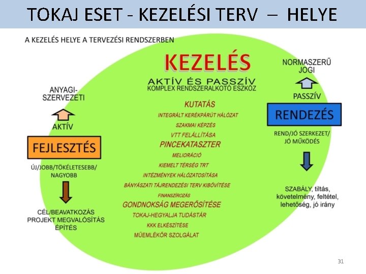 TOKAJ ESET - KEZELÉSI TERV – HELYE 31 