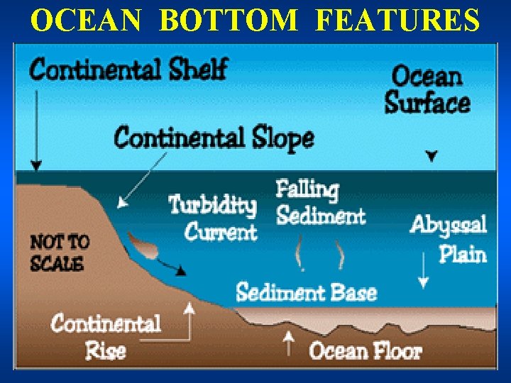OCEAN BOTTOM FEATURES 