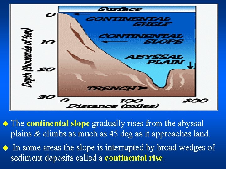 u The continental slope gradually rises from the abyssal plains & climbs as much