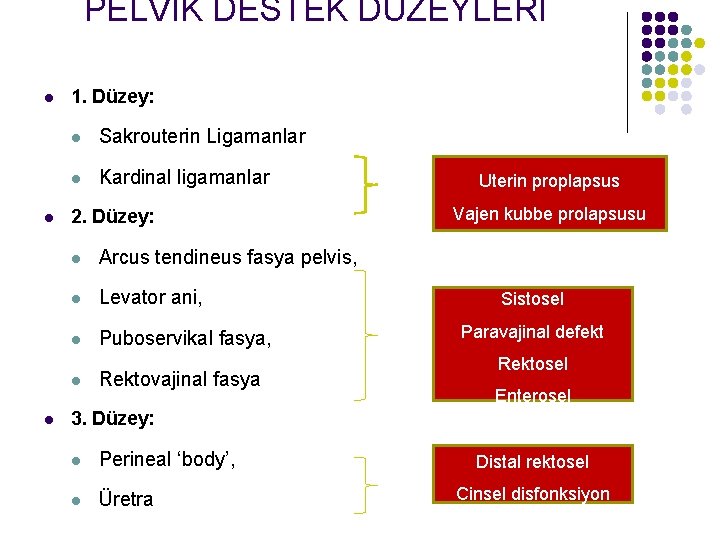 PELVİK DESTEK DÜZEYLERİ l l 1. Düzey: l Sakrouterin Ligamanlar l Kardinal ligamanlar 2.