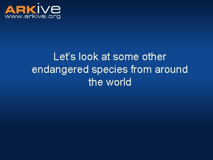 Let’s look at some other endangered species from around the world 