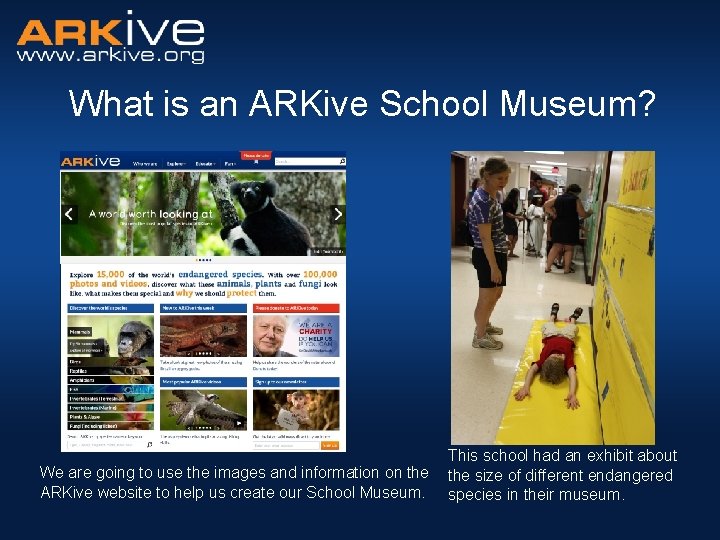 What is an ARKive School Museum? We are going to use the images and