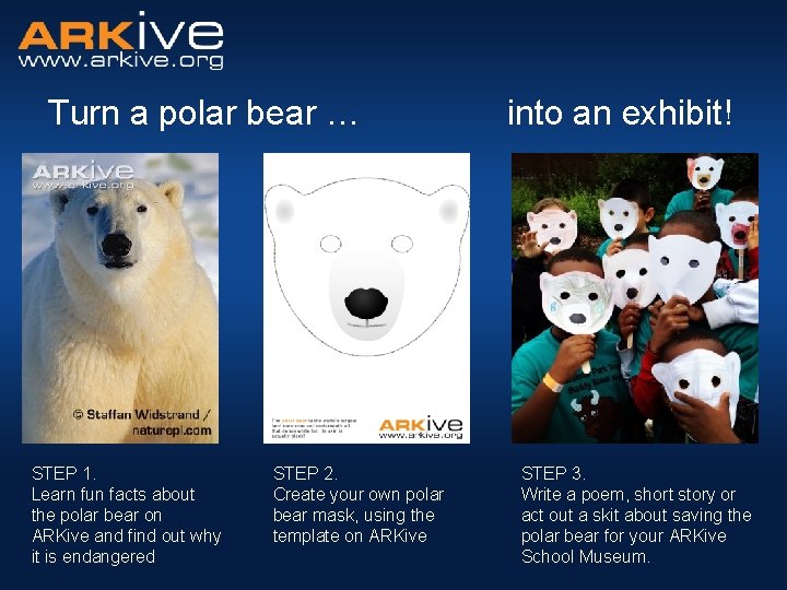 Turn a polar bear … STEP 1. Learn fun facts about the polar bear