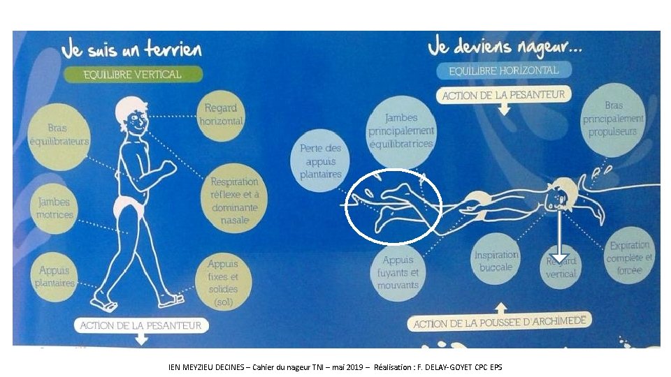 IEN MEYZIEU DECINES – Cahier du nageur TNI – mai 2019 – Réalisation :