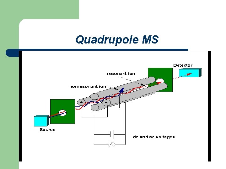 Quadrupole MS 