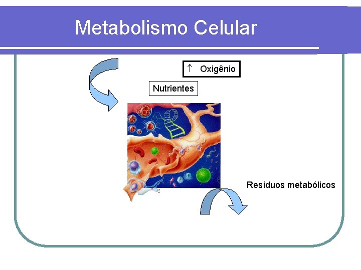 Metabolismo Celular Oxigênio Nutrientes Resíduos metabólicos 