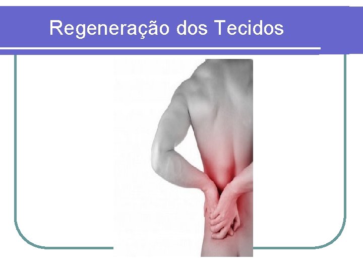 Regeneração dos Tecidos 