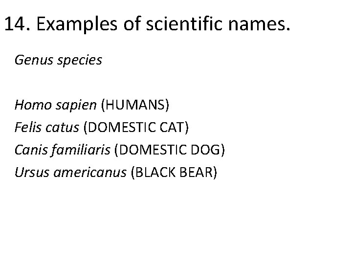 14. Examples of scientific names. Genus species Homo sapien (HUMANS) Felis catus (DOMESTIC CAT)