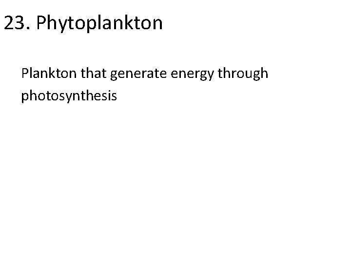 23. Phytoplankton Plankton that generate energy through photosynthesis 