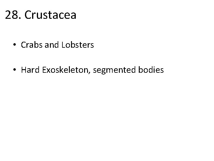 28. Crustacea • Crabs and Lobsters • Hard Exoskeleton, segmented bodies 