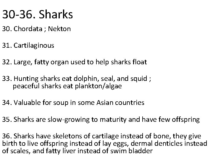 30 -36. Sharks 30. Chordata ; Nekton 31. Cartilaginous 32. Large, fatty organ used