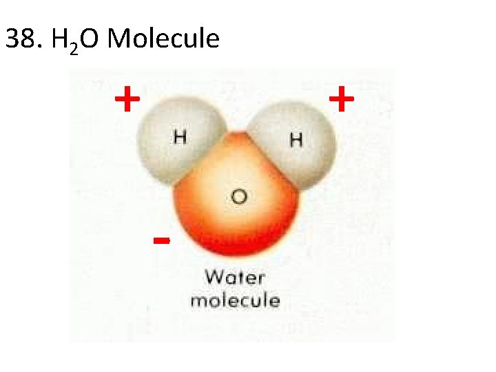 38. H 2 O Molecule + + - 