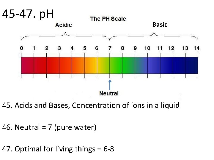 45 -47. p. H Basic 45. Acids and Bases, Concentration of ions in a