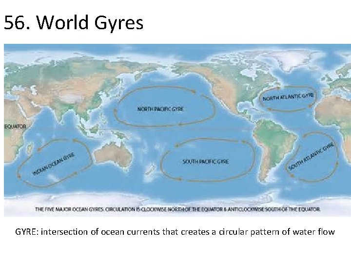 56. World Gyres GYRE: intersection of ocean currents that creates a circular pattern of