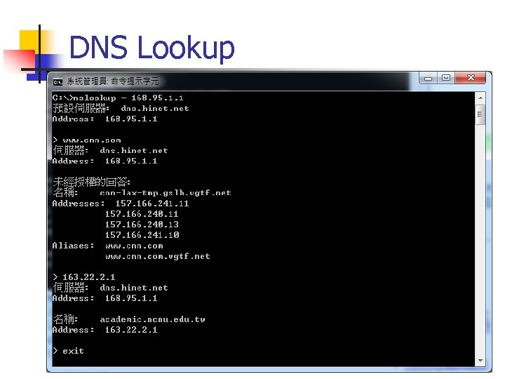 DNS Lookup 