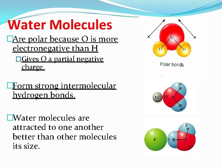 Water Molecules �Are polar because O is more electronegative than H �Gives O a