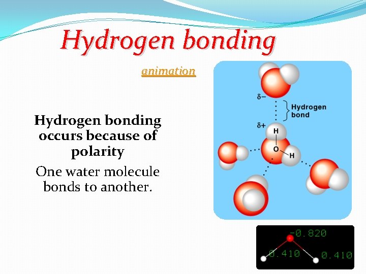 Hydrogen bonding animation Hydrogen bonding occurs because of polarity One water molecule bonds to