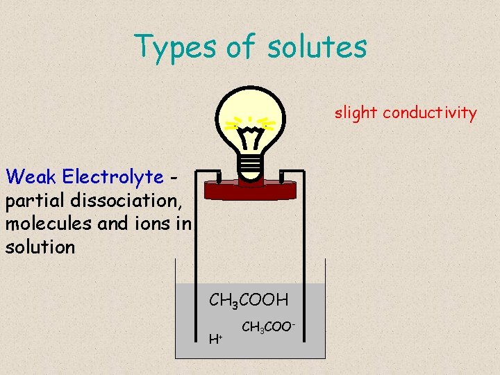 Types of solutes slight conductivity Weak Electrolyte partial dissociation, molecules and ions in solution