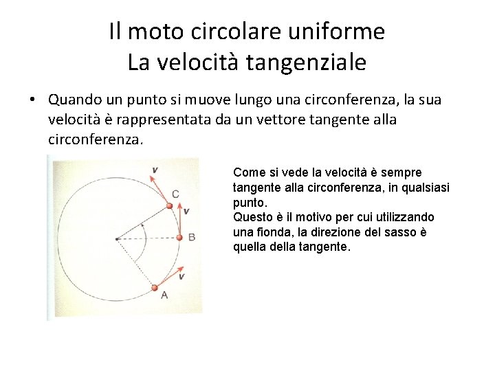 Il moto circolare uniforme La velocità tangenziale • Quando un punto si muove lungo