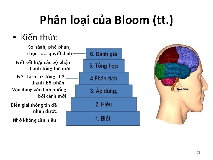 Phân loại của Bloom (tt. ) • Kiến thức So sánh, phê phán, chọn