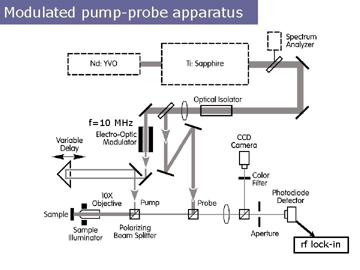 Modulated pump-probe apparatus f=10 MHz rf lock-in 