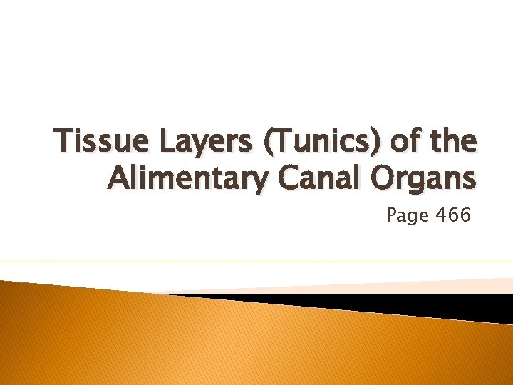 Tissue Layers (Tunics) of the Alimentary Canal Organs Page 466 