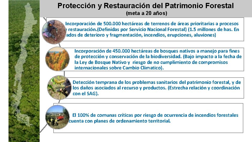 Protección y Restauración del Patrimonio Forestal (meta a 20 años) Incorporación de 500. 000