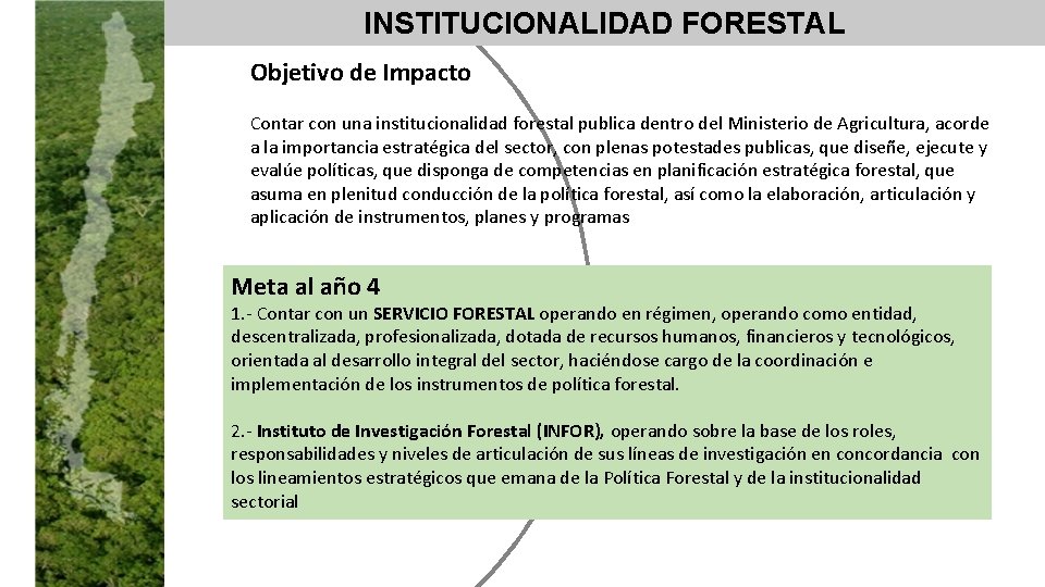 INSTITUCIONALIDAD FORESTAL Objetivo de Impacto Contar con una institucionalidad forestal publica dentro del Ministerio
