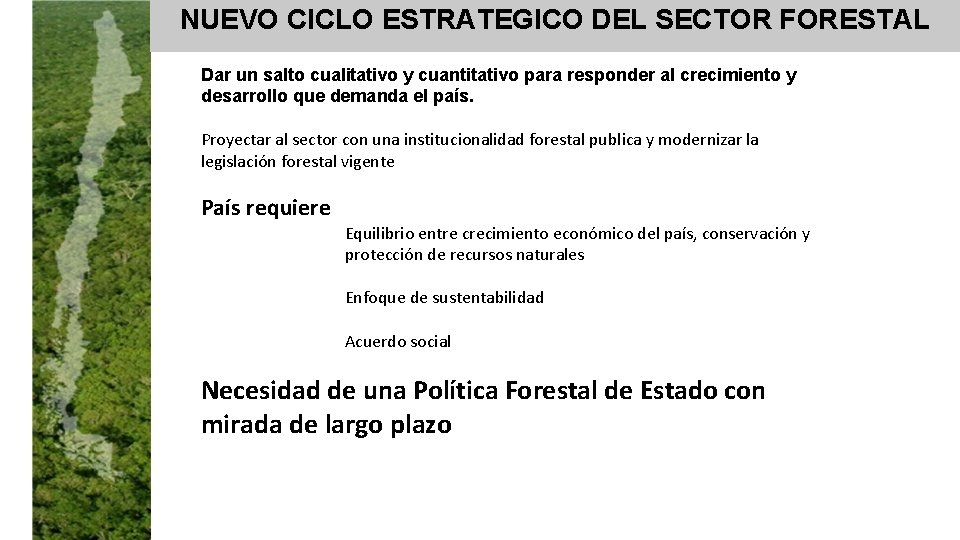 NUEVO CICLO ESTRATEGICO DEL SECTOR FORESTAL Dar un salto cualitativo y cuantitativo para responder