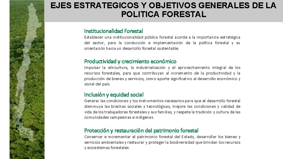 EJES ESTRATEGICOS Y OBJETIVOS GENERALES DE LA POLITICA FORESTAL Institucionalidad Forestal Establecer una institucionalidad