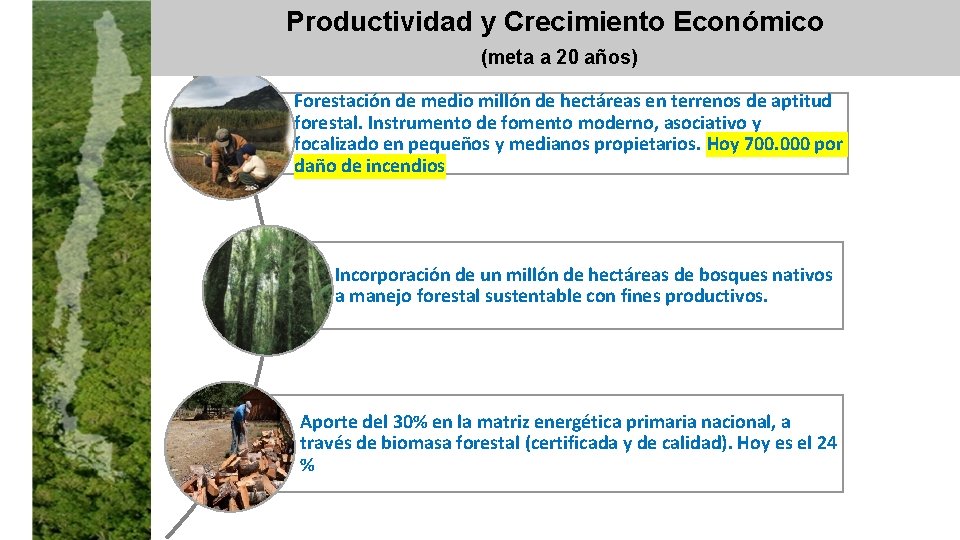 Productividad y Crecimiento Económico (meta a 20 años) Forestación de medio millón de hectáreas