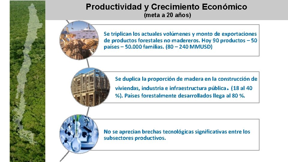 Productividad y Crecimiento Económico (meta a 20 años) Se triplican los actuales volúmenes y